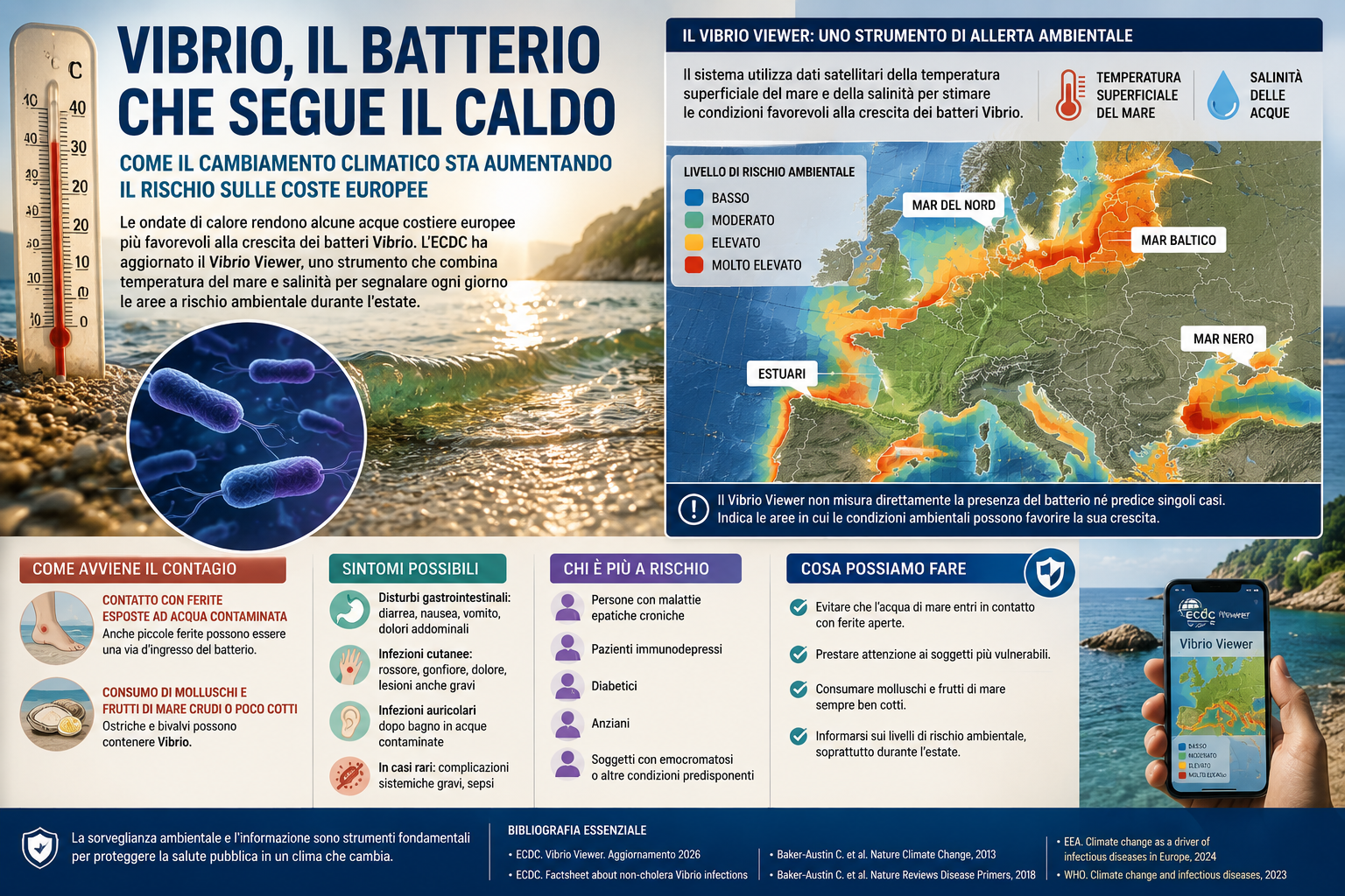 Vibrio, il batterio che segue il caldo. Come il cambiamento climatico sta ridisegnando il rischio sanitario sulle coste europee
