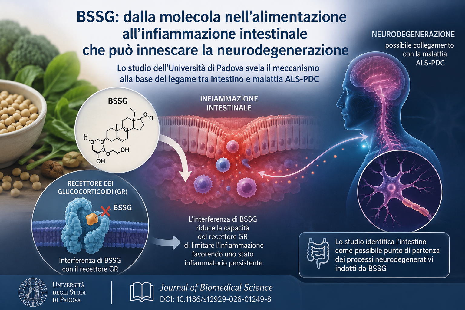 Quando la neurodegenerazione comincia dall’intestino