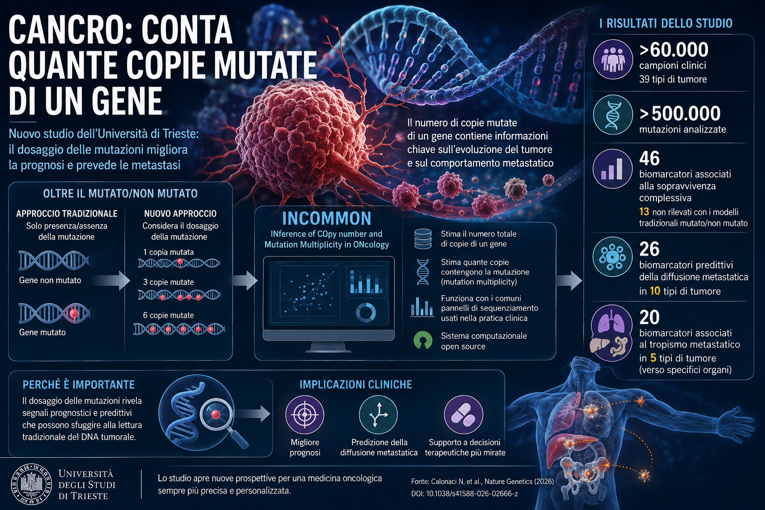 Il cancro non è soltanto “mutato” o “non mutato”: conta quante copie del gene portano la mutazione