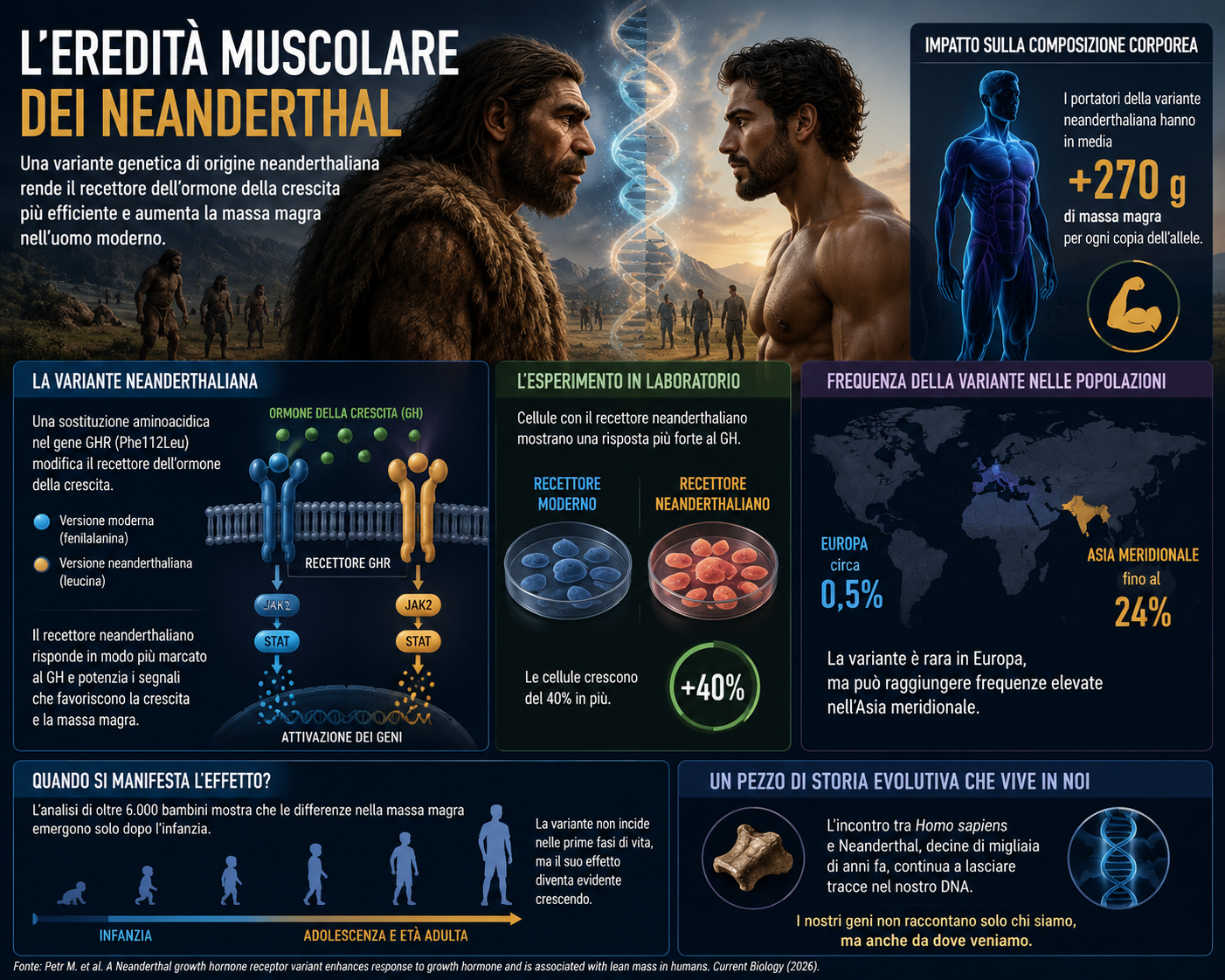 L’eredità muscolare dei Neanderthal