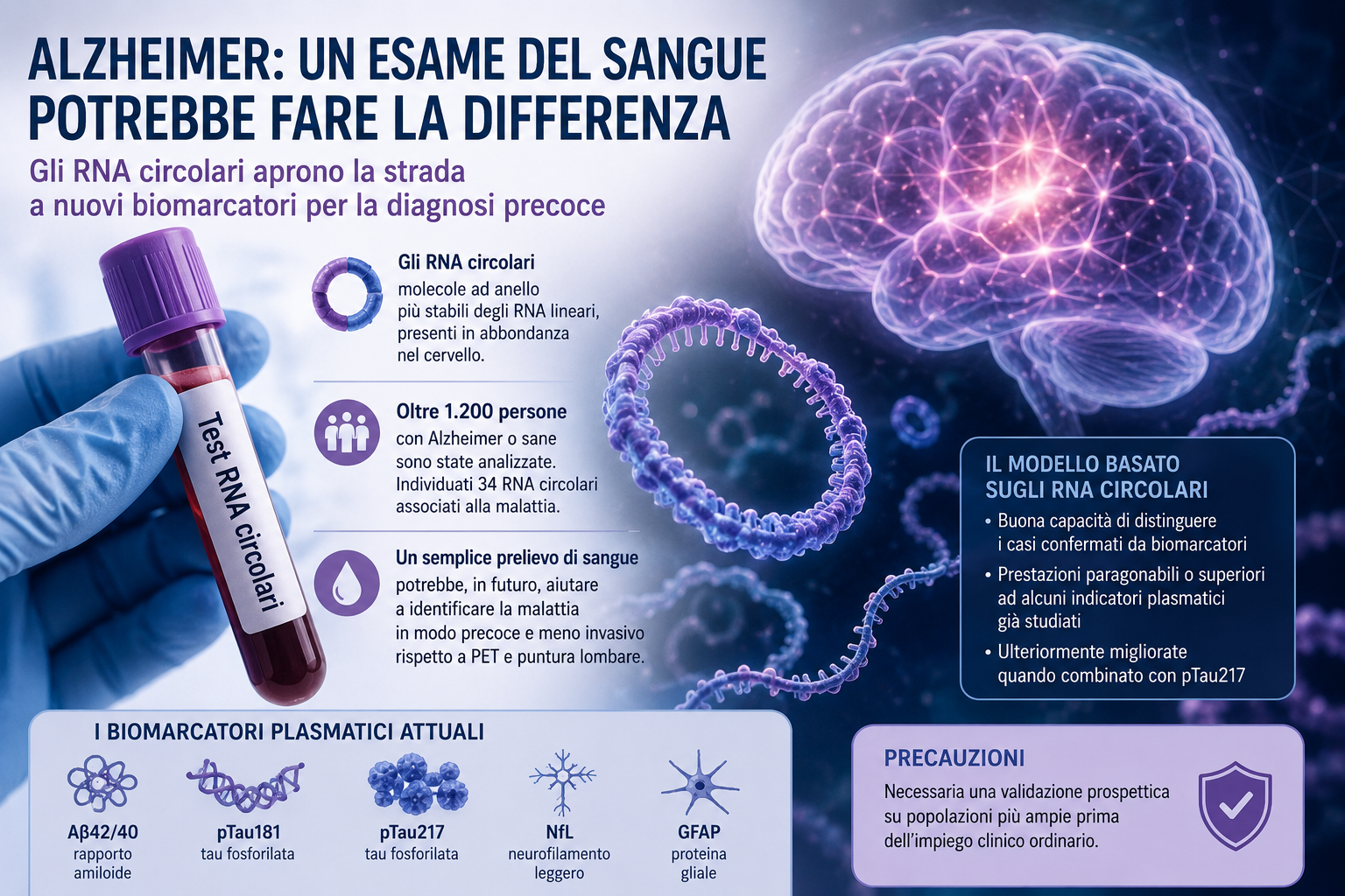 Un esame del sangue per anticipare l’Alzheimer? Gli RNA circolari aprono una nuova strada